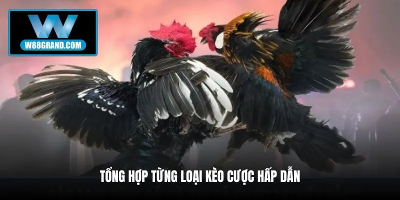 tong-hop-tung-loai-keo-cuoc-hap-dan